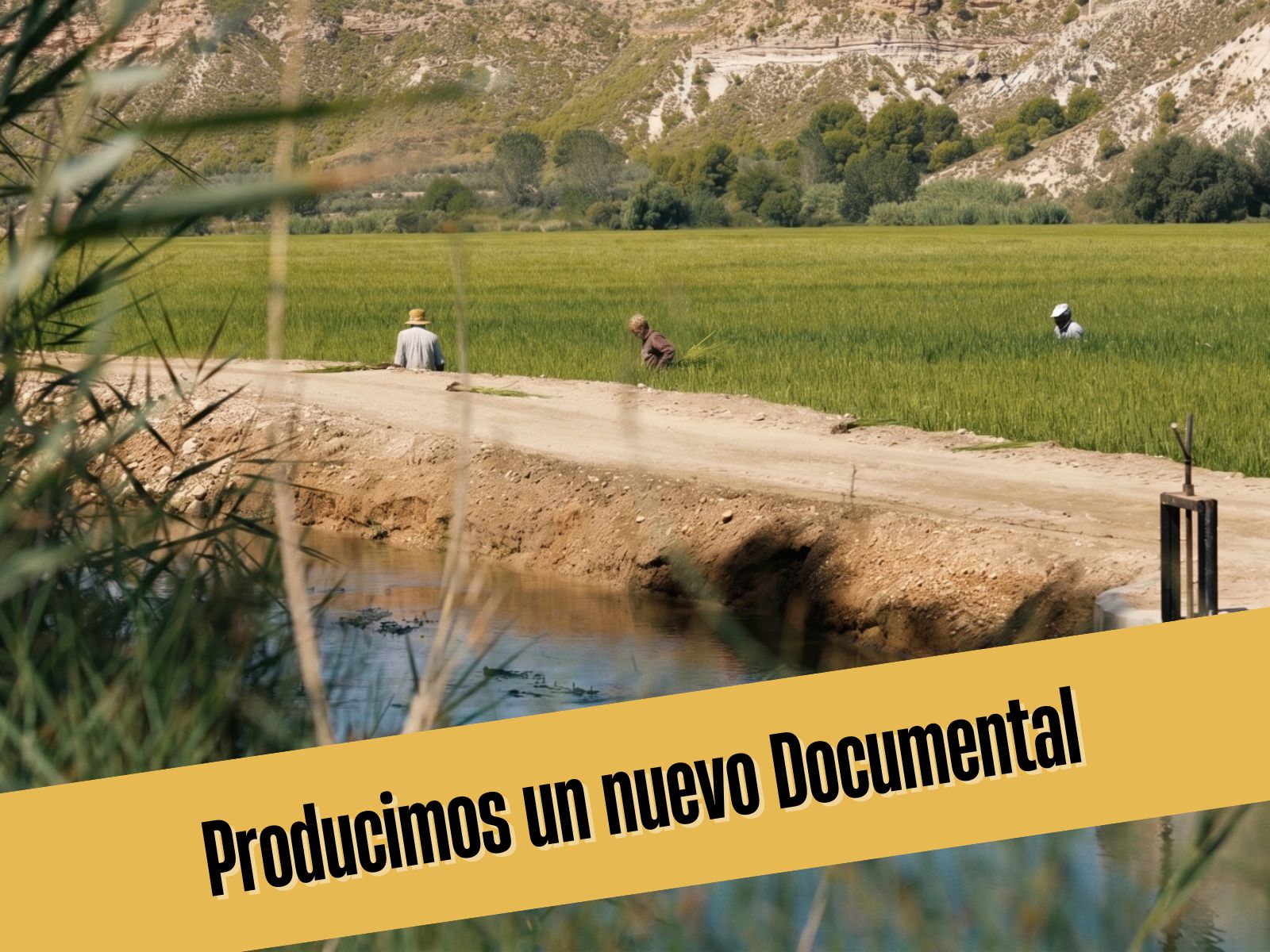 Un documental sobre el arroz de calasparra SINOPSIS VUVUZELA